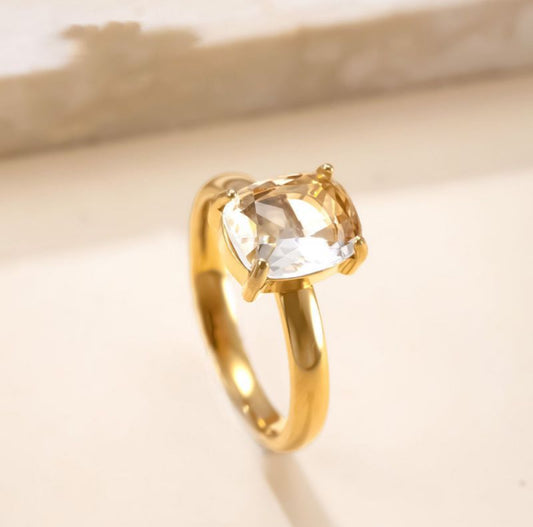 R306 Acero Inoxidable