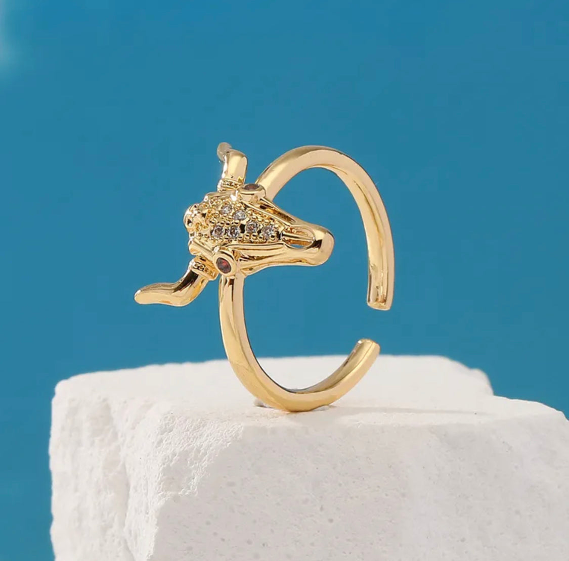 R209 Chapa de Oro